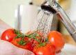 Food Hygiene & Healthy Eating Grants