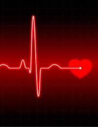 Grants Heart Disease Healthy Heart