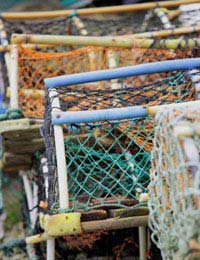European Fisheries Research Sustainable