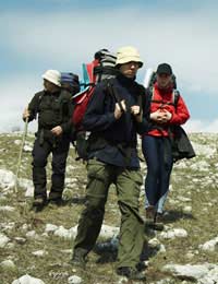 Expeditions Travel Grants Award Teams