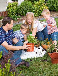 Children Gardens Community Trees Tools