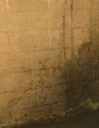 Home Repair and Damp Grant Checker